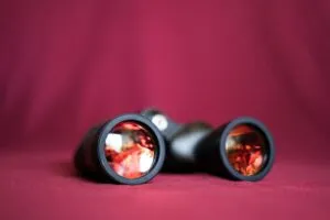 Observation